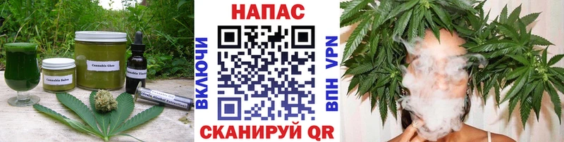 KRAKEN зеркало  Михайлов  Cannafood конопля 