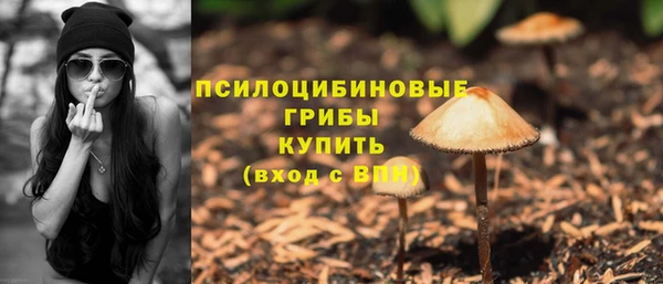 стаф Беломорск