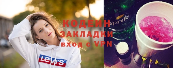 крисы Богородицк