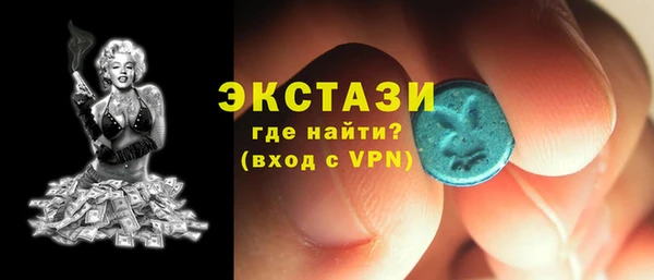 крисы Богородицк