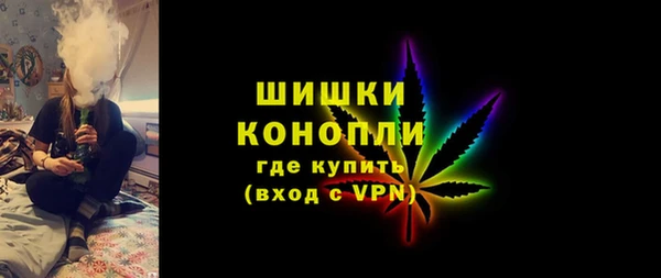 мдпв Богородск