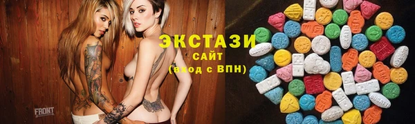 крисы Богородицк