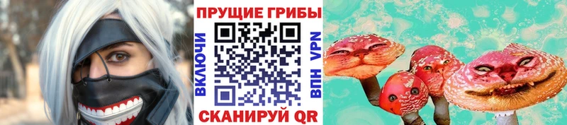 где купить   Михайлов  Галлюциногенные грибы прущие грибы 